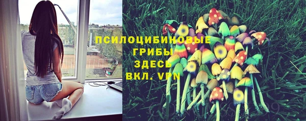 а пвп мука Зеленодольск