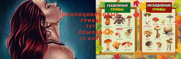 apvp Иннополис